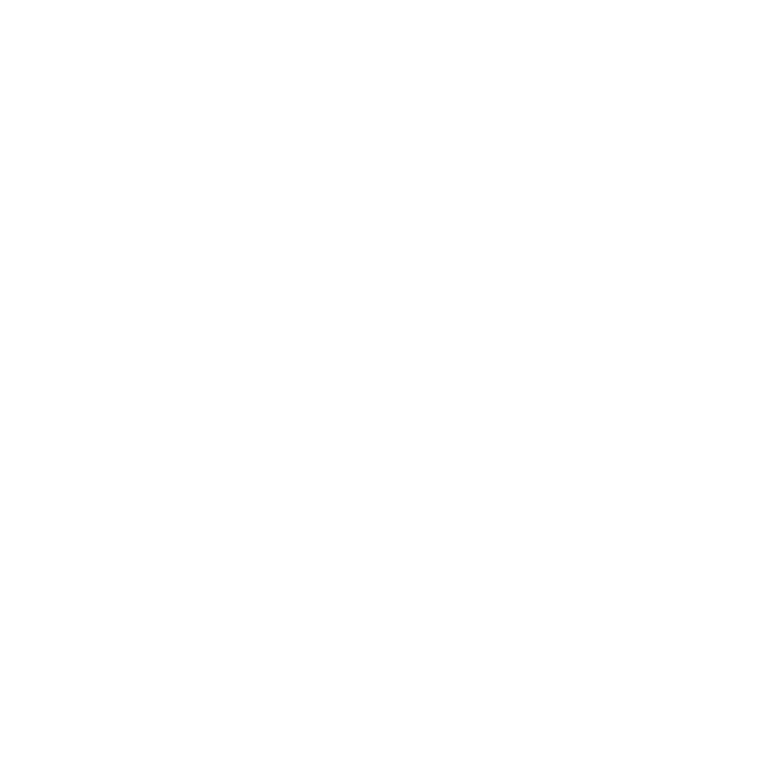 Segundo logo CONEXIA Global